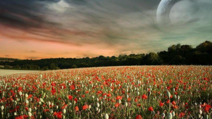 为什么面向对象编程这么困难？